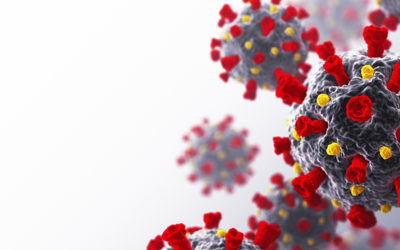 Virtual Classes at New Roots Focus on Impact of Pandemic