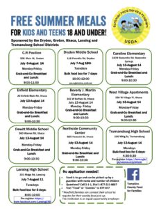 free summer meals infographic