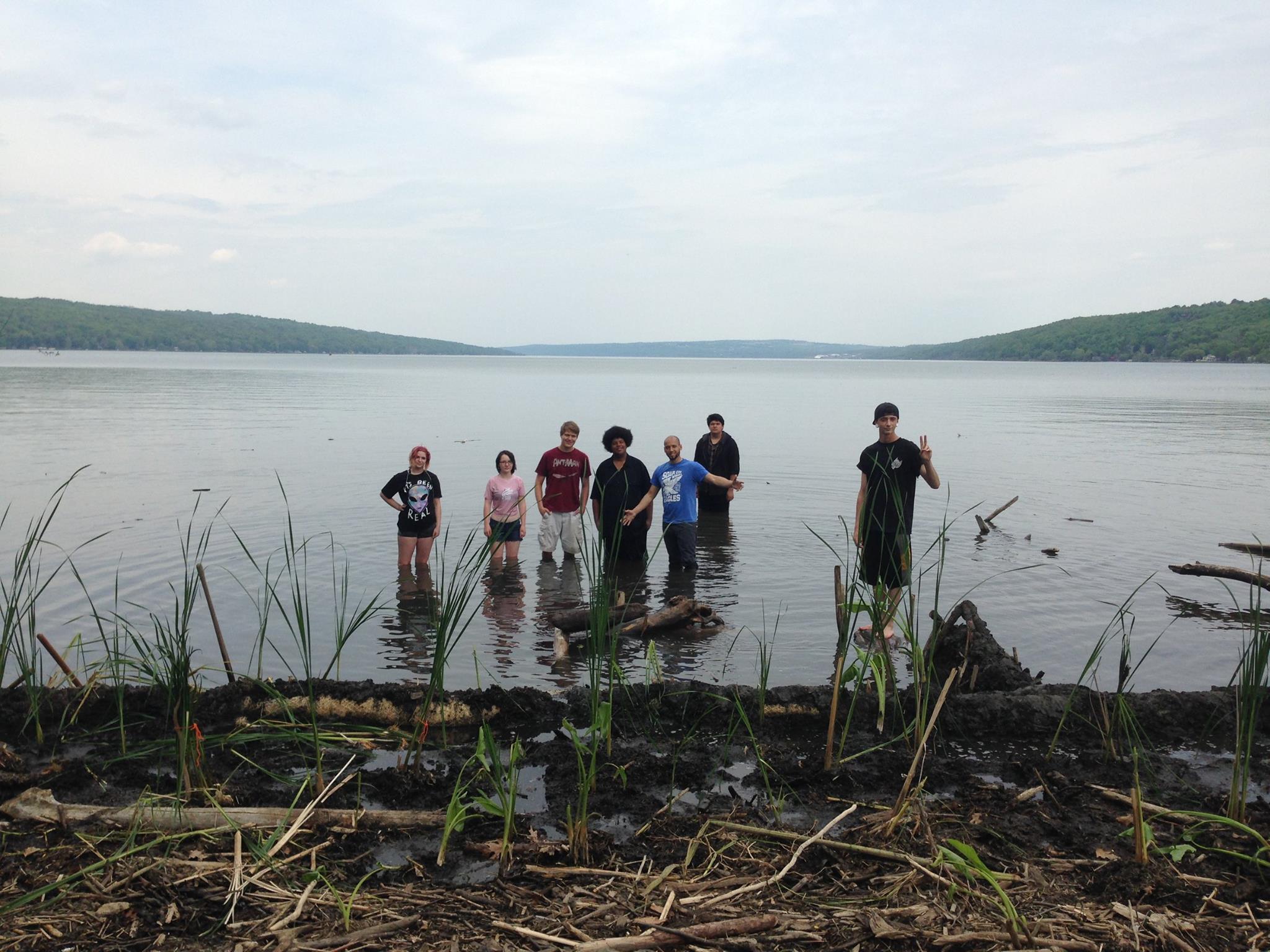 seven students wading in the water of the cayuga wetlands