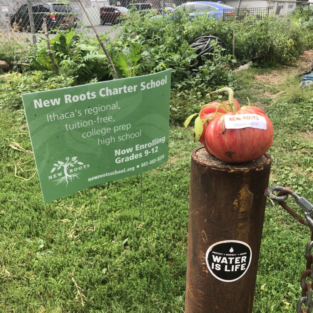 new roots charter school urban farm