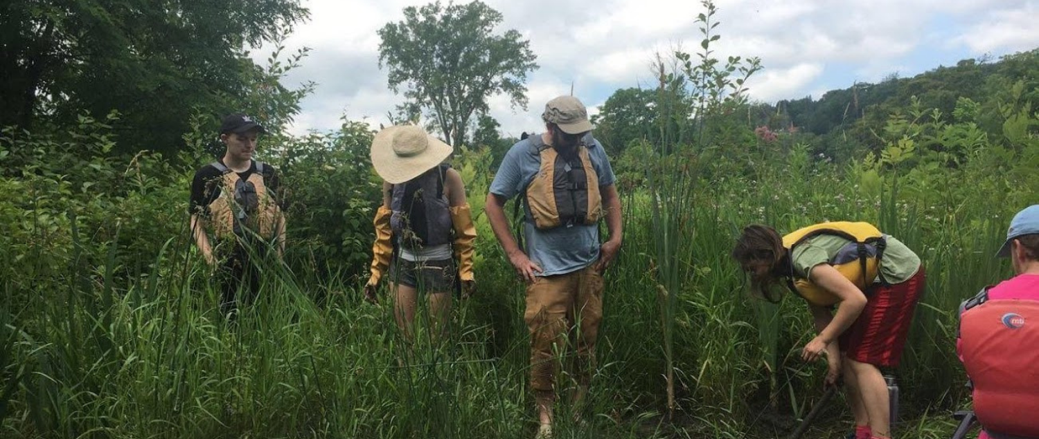 new roots students clearing the cayuga wetlands during restoration project